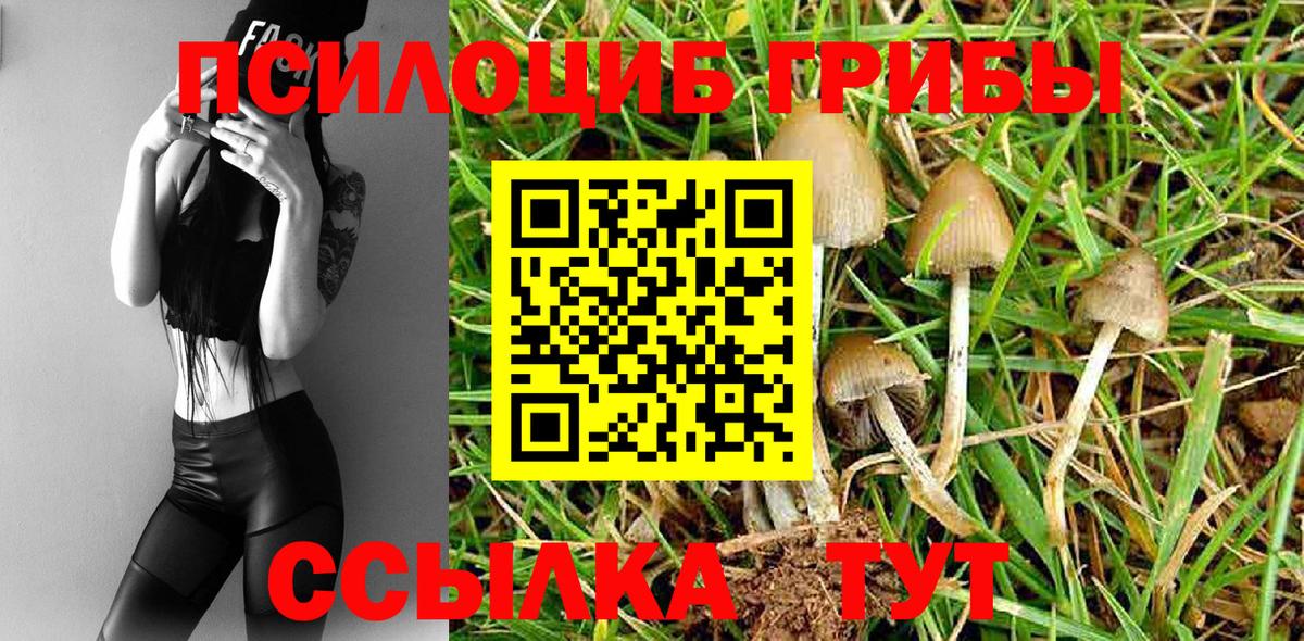 Псилоцибиновые грибы GOLDEN TEACHER Чебоксары